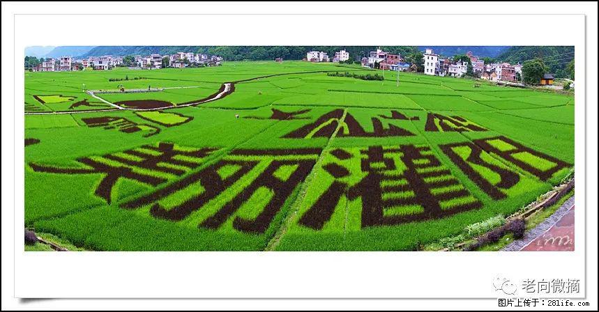 【春天,广西桂林灌阳县向您发出邀请!】开篇 - 游山玩水 - 泰州生活社区 - 泰州28生活网 taizhou.28life.com