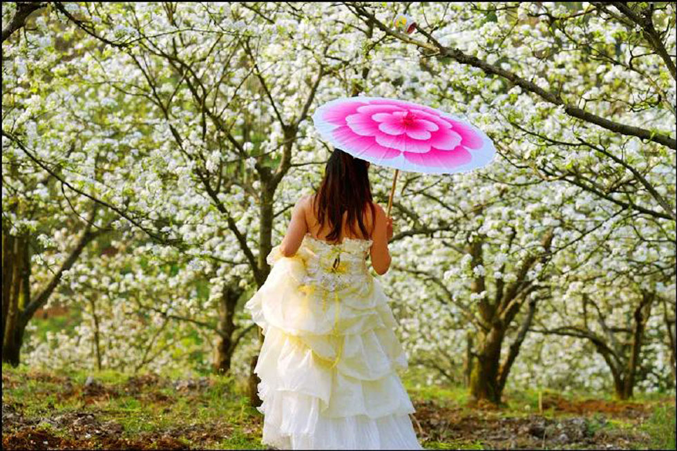 【春天，广西桂林灌阳县向您发出邀请！】我们在灌阳看梨花 - 游山玩水 - 泰州生活社区 - 泰州28生活网 taizhou.28life.com