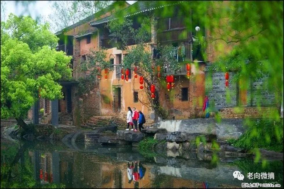 【春天,广西桂林灌阳县向您发出邀请!】江口老街又逢春 - 游山玩水 - 泰州生活社区 - 泰州28生活网 taizhou.28life.com