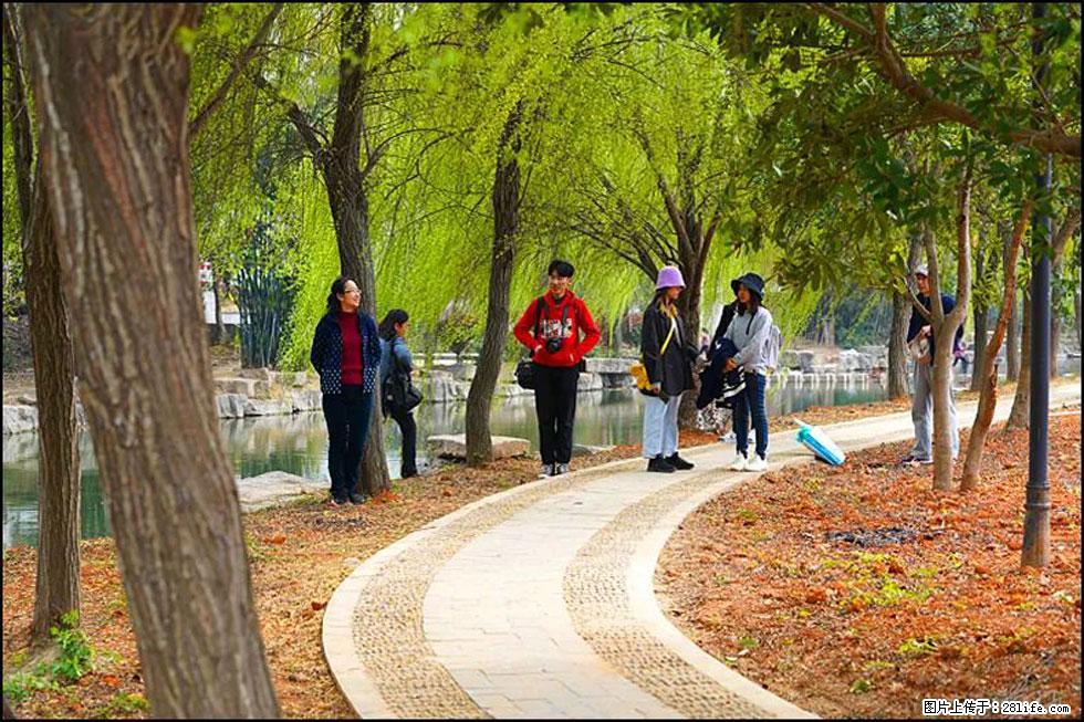 【春天,广西桂林灌阳县向您发出邀请!】江口老街又逢春 - 游山玩水 - 泰州生活社区 - 泰州28生活网 taizhou.28life.com