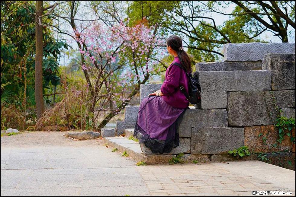 【春天,广西桂林灌阳县向您发出邀请!】江口老街又逢春 - 游山玩水 - 泰州生活社区 - 泰州28生活网 taizhou.28life.com