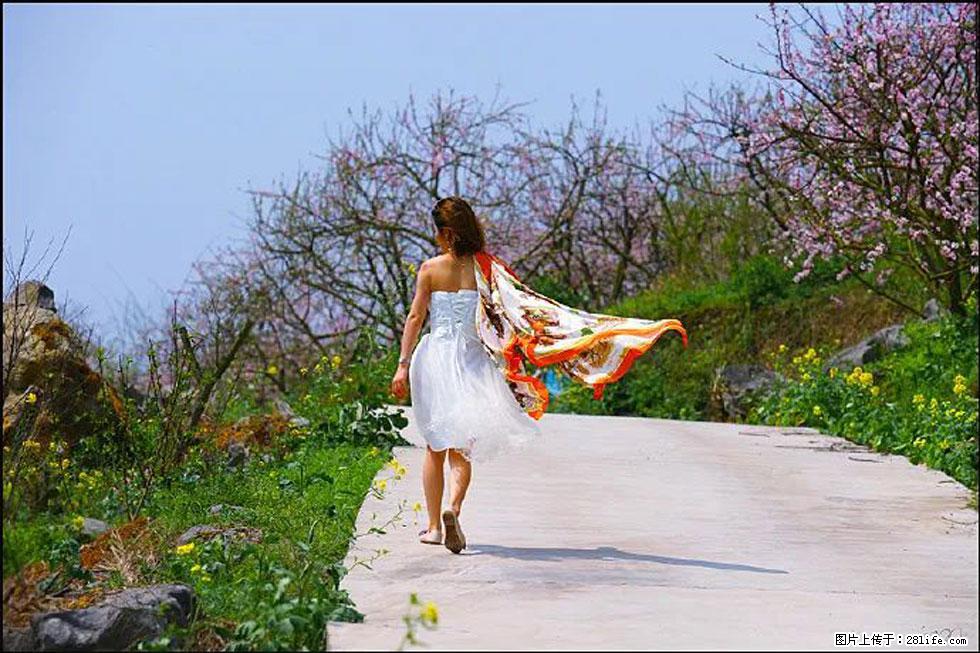 【春天，广西桂林灌阳县向您发出邀请！】望月岭上桃花开 - 游山玩水 - 泰州生活社区 - 泰州28生活网 taizhou.28life.com