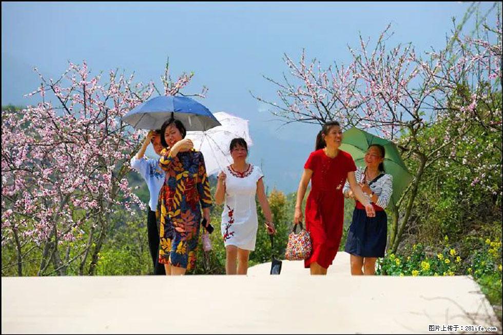 【春天，广西桂林灌阳县向您发出邀请！】望月岭上桃花开 - 游山玩水 - 泰州生活社区 - 泰州28生活网 taizhou.28life.com