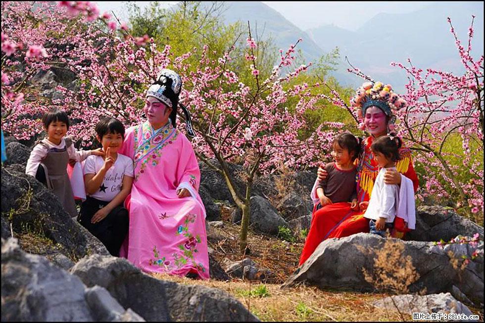 【春天，广西桂林灌阳县向您发出邀请！】望月岭上桃花开 - 游山玩水 - 泰州生活社区 - 泰州28生活网 taizhou.28life.com