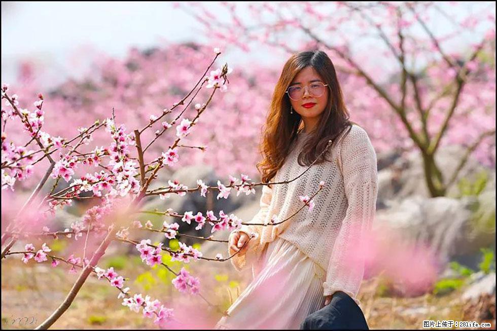 【春天，广西桂林灌阳县向您发出邀请！】望月岭上桃花开 - 游山玩水 - 泰州生活社区 - 泰州28生活网 taizhou.28life.com