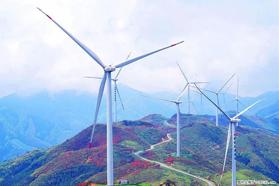 【春天,广西桂林灌阳县向您发出邀请!】春木界上映山红 - 游山玩水 - 泰州生活社区 - 泰州28生活网 taizhou.28life.com