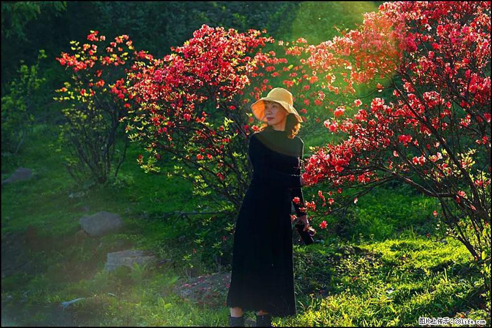 【春天,广西桂林灌阳县向您发出邀请!】春木界上映山红 - 游山玩水 - 泰州生活社区 - 泰州28生活网 taizhou.28life.com