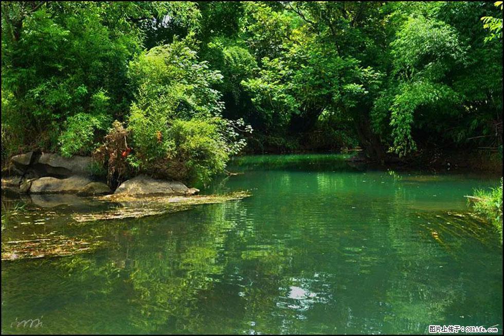 【春天,广西桂林灌阳县向您发出邀请!】如梦似幻莲溪庐 - 游山玩水 - 泰州生活社区 - 泰州28生活网 taizhou.28life.com