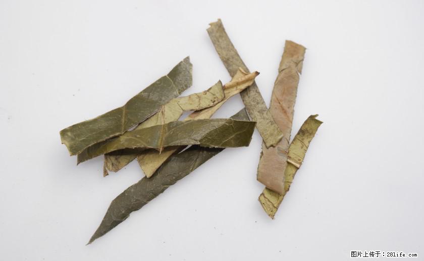 苦丁茶有哪些功效和作用 - 生活百科 - 泰州生活社区 - 泰州28生活网 taizhou.28life.com