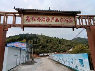 【灌阳县油茶产业示范区】一个有着充实的精神生活的人，对待身外之物自会有一种淡泊的态度 - 泰州28生活网 taizhou.28life.com