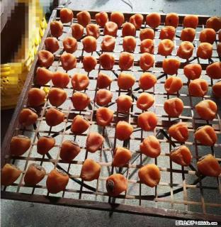 广西桂林平乐桥亭【柿饼之乡】2025年纯手工制作、无任何添加剂的第一批柿饼准备上市了，欢迎联系订购！ - 泰州28生活网 taizhou.28life.com