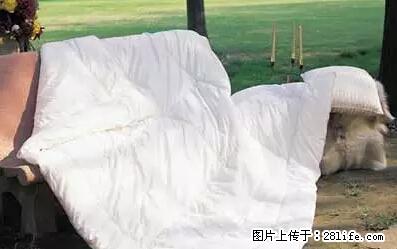 被子有异味？只要这样做，比晒太阳还强100倍！ - 家居生活 - 泰州生活社区 - 泰州28生活网 taizhou.28life.com