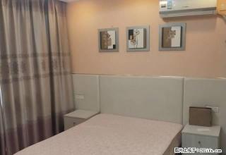 好急急急 城中 月付房 财富广场精装修 出租的急急急 - 泰州28生活网 taizhou.28life.com