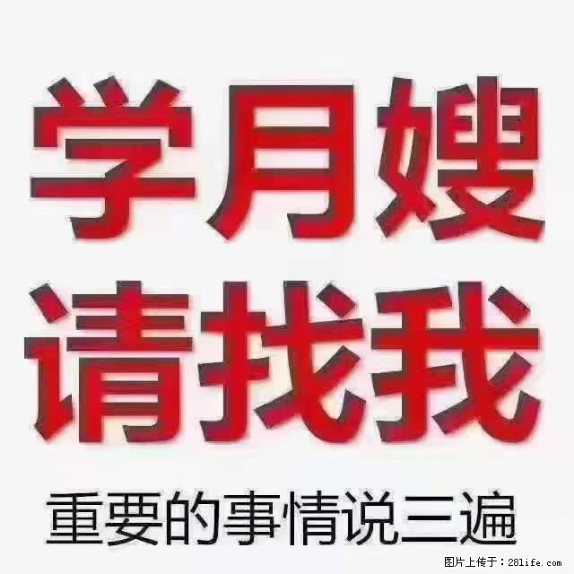 【招聘】月嫂,上海徐汇区 - 职场交流 - 泰州生活社区 - 泰州28生活网 taizhou.28life.com