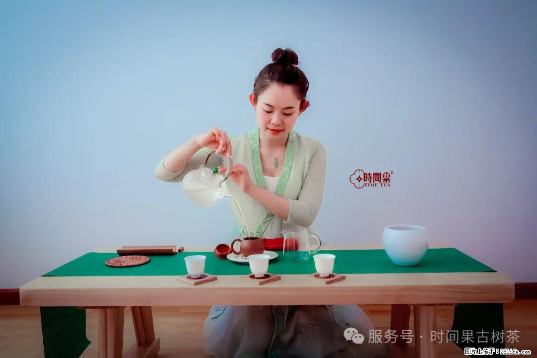 时间果百年古树龙珠普洱生茶 - 购物交流 - 泰州生活社区 - 泰州28生活网 taizhou.28life.com