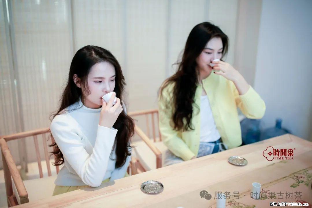 时间果百年古树龙珠普洱生茶 - 购物交流 - 泰州生活社区 - 泰州28生活网 taizhou.28life.com