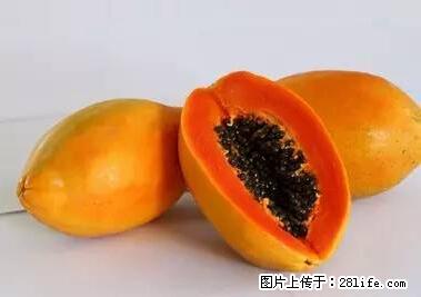 晕车、脚气、牙齿变黄、皮肤粗糙?学会这些三分钟搞定! - 泰州生活资讯 - 泰州28生活网 taizhou.28life.com