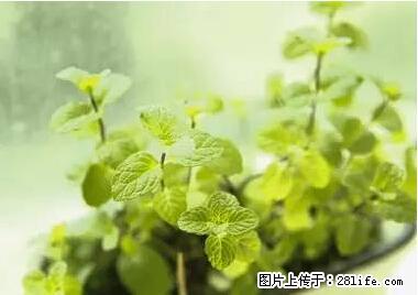 晕车、脚气、牙齿变黄、皮肤粗糙?学会这些三分钟搞定! - 泰州生活资讯 - 泰州28生活网 taizhou.28life.com