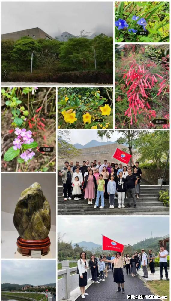 “粤灌文化 美好生活”油茶文化主题活动在广东深圳成功举办 - 泰州生活资讯 - 泰州28生活网 taizhou.28life.com