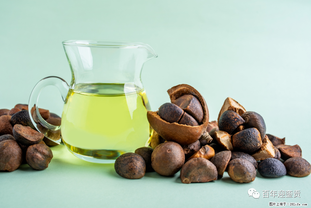 揭秘茶油的5大核心营养成分！被称为人体健康的“守护盾”！ - 泰州生活资讯 - 泰州28生活网 taizhou.28life.com