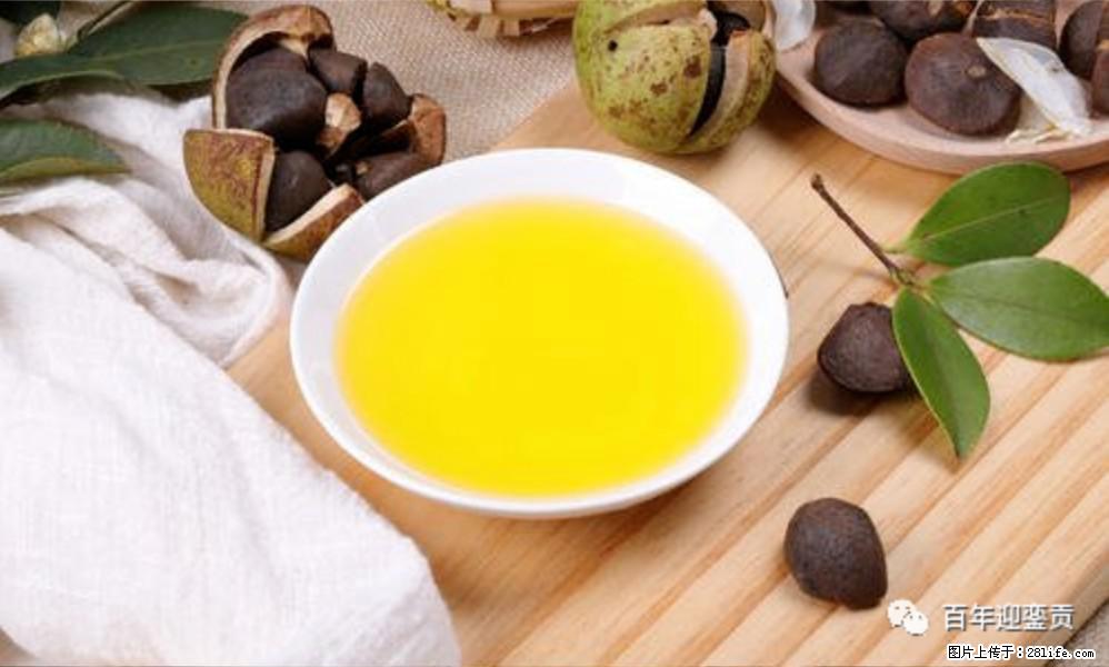 揭秘茶油的5大核心营养成分！被称为人体健康的“守护盾”！ - 泰州生活资讯 - 泰州28生活网 taizhou.28life.com