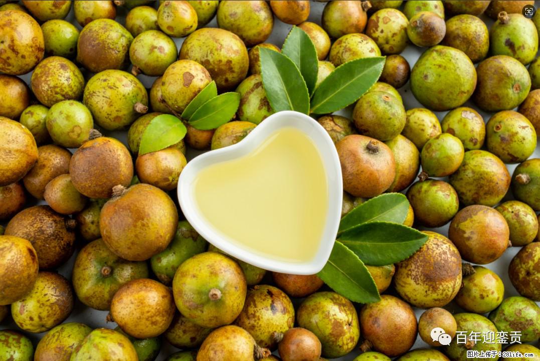 世界没有真相,只有认知,最好的食用油是中国的山茶油! - 泰州生活资讯 - 泰州28生活网 taizhou.28life.com