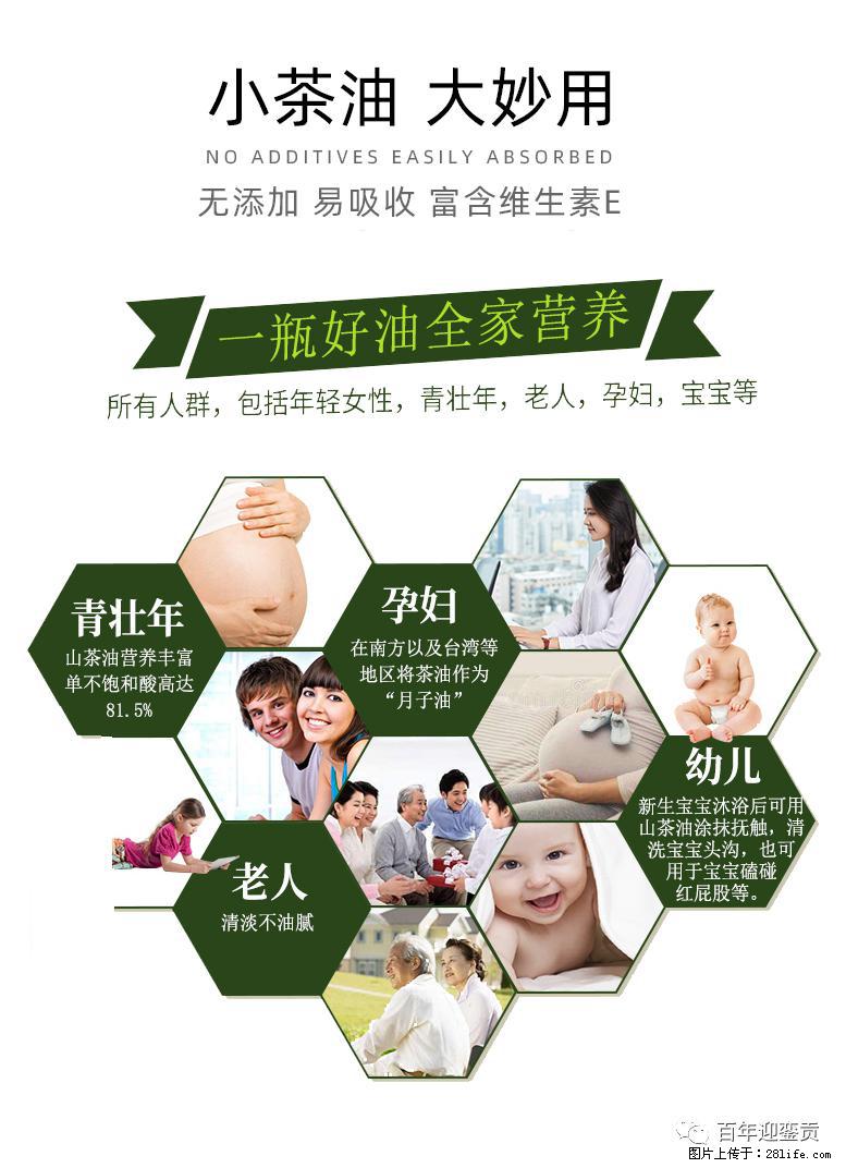 世界没有真相,只有认知,最好的食用油是中国的山茶油! - 泰州生活资讯 - 泰州28生活网 taizhou.28life.com