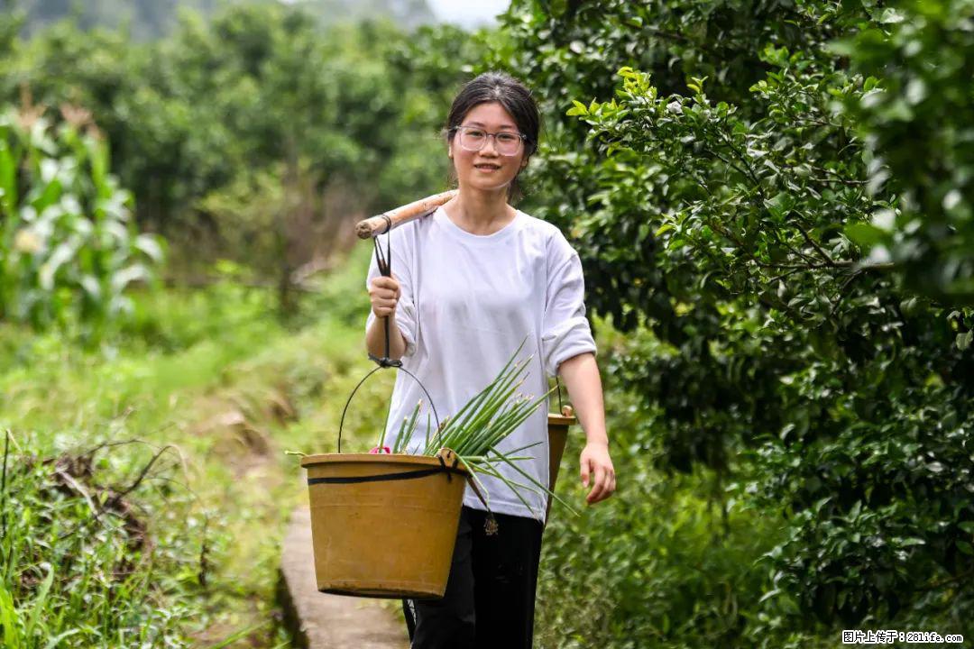 全网追的“扁担女孩”,找了一份暑假工,时薪12元 - 泰州生活资讯 - 泰州28生活网 taizhou.28life.com