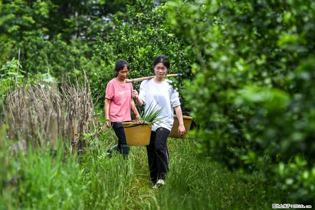 全网追的“扁担女孩”,找了一份暑假工,时薪12元 - 泰州生活资讯 - 泰州28生活网 taizhou.28life.com