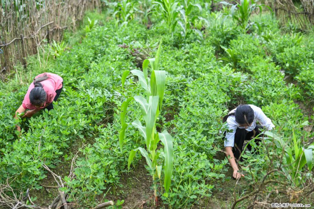 全网追的“扁担女孩”,找了一份暑假工,时薪12元 - 泰州生活资讯 - 泰州28生活网 taizhou.28life.com