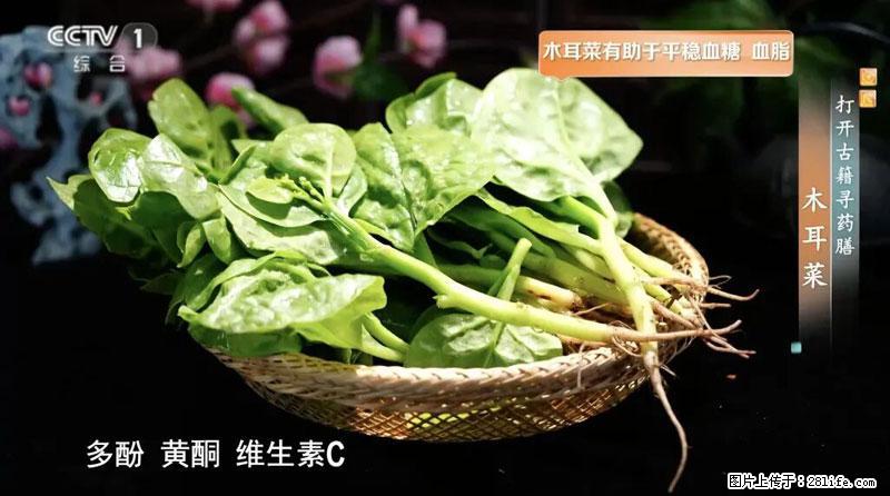 比牛奶补钙还厉害!凉血解毒、稳血糖...这菜冬天必吃,很多人却当草 - 泰州生活资讯 - 泰州28生活网 taizhou.28life.com
