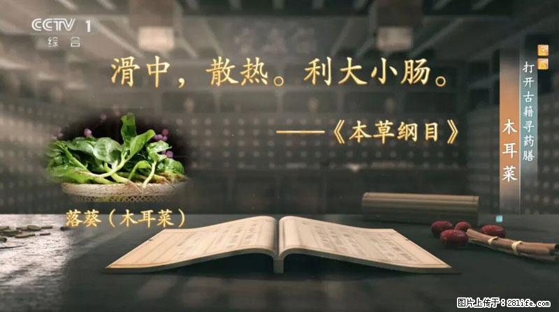 比牛奶补钙还厉害!凉血解毒、稳血糖...这菜冬天必吃,很多人却当草 - 泰州生活资讯 - 泰州28生活网 taizhou.28life.com