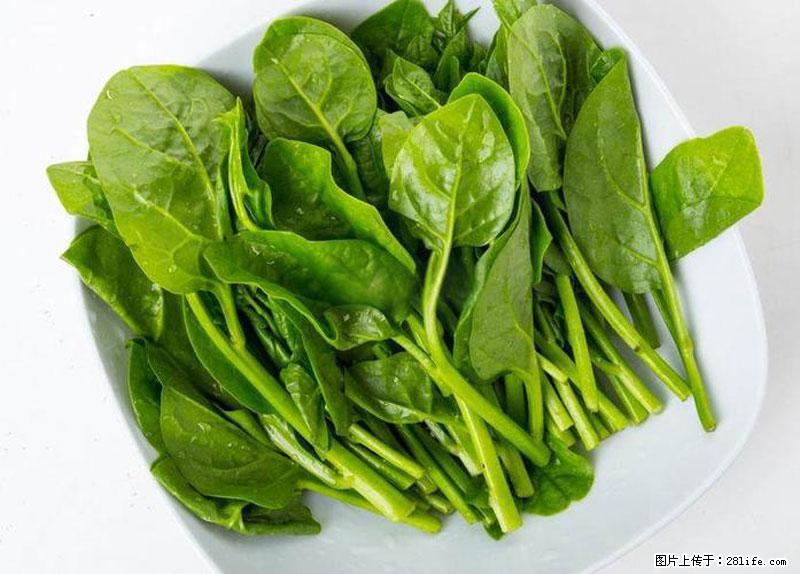 这些蔬菜是“天然钙片”，这6种被医生重点推荐 - 泰州生活资讯 - 泰州28生活网 taizhou.28life.com