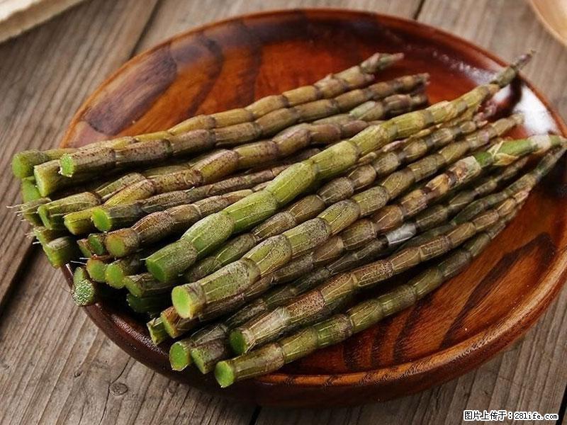 铁皮石斛的作用与功能主治 - 泰州生活资讯 - 泰州28生活网 taizhou.28life.com
