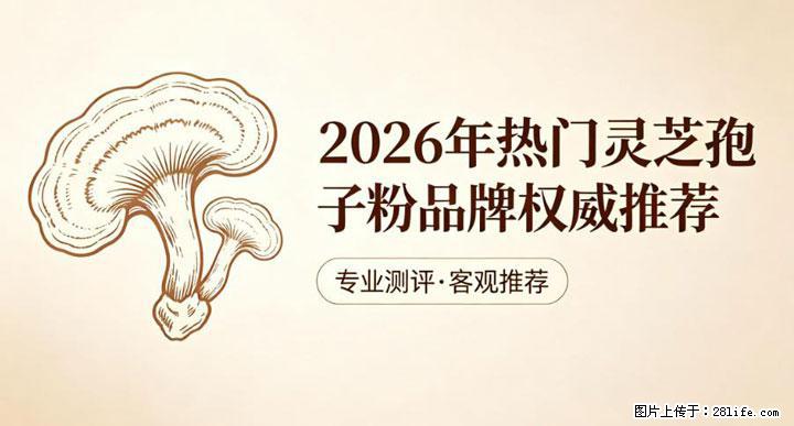 灵芝孢子粉含量越高越有效？2026 年七款热门品牌深度实测，肠胃敏感者避坑指南 - 泰州生活资讯 - 泰州28生活网 taizhou.28life.com